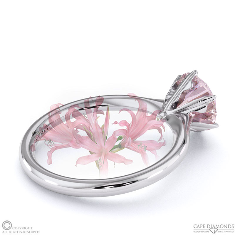 Nerine Queen Fynbos Morganite Solitaire Engagement Ring White Gold