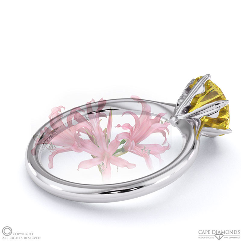 Nerine Queen Fynbos Yellow Natural Diamond Solitaire Engagement Ring White Gold