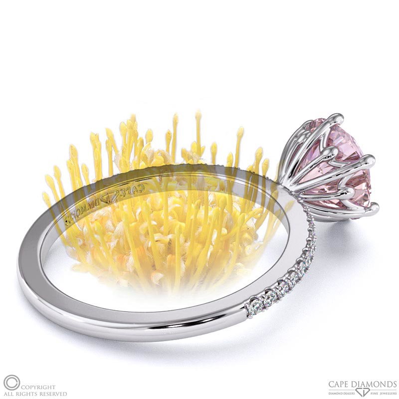 Pincushion Fynbos Flower High Set Engagement Ring White Gold