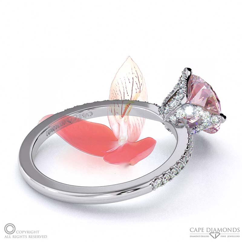 Disa Orchid Morganite Low-Set Pavé Side Diamonds Engagement Ring White Gold