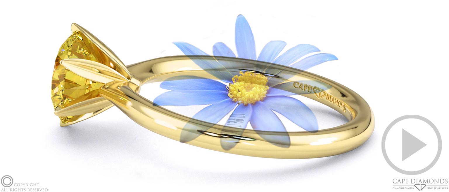 Darling Daisy Fynbos Yellow Natural Diamond Solitaire Engagement Ring Yellow Gold top video