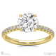 Cat Claw Round Natural Diamond Engagement Ring White Gold