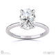 oval natural diamond four claw hidden halo pavé engagement ring white gold with 9k white gold metal and oval shape diamond