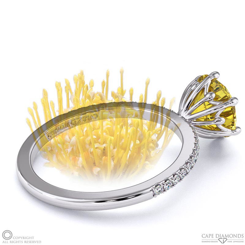 Pincushion Fynbos Flower High Set Engagement Ring White Gold