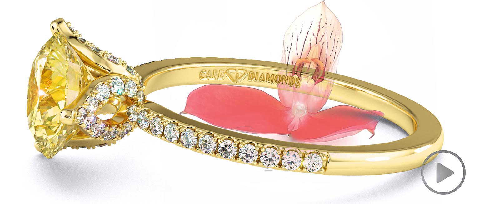 Disa Orchid Yellow Lab Grown Diamond Low-Set Pavé Side Diamonds Engagement Ring Yellow Gold top video