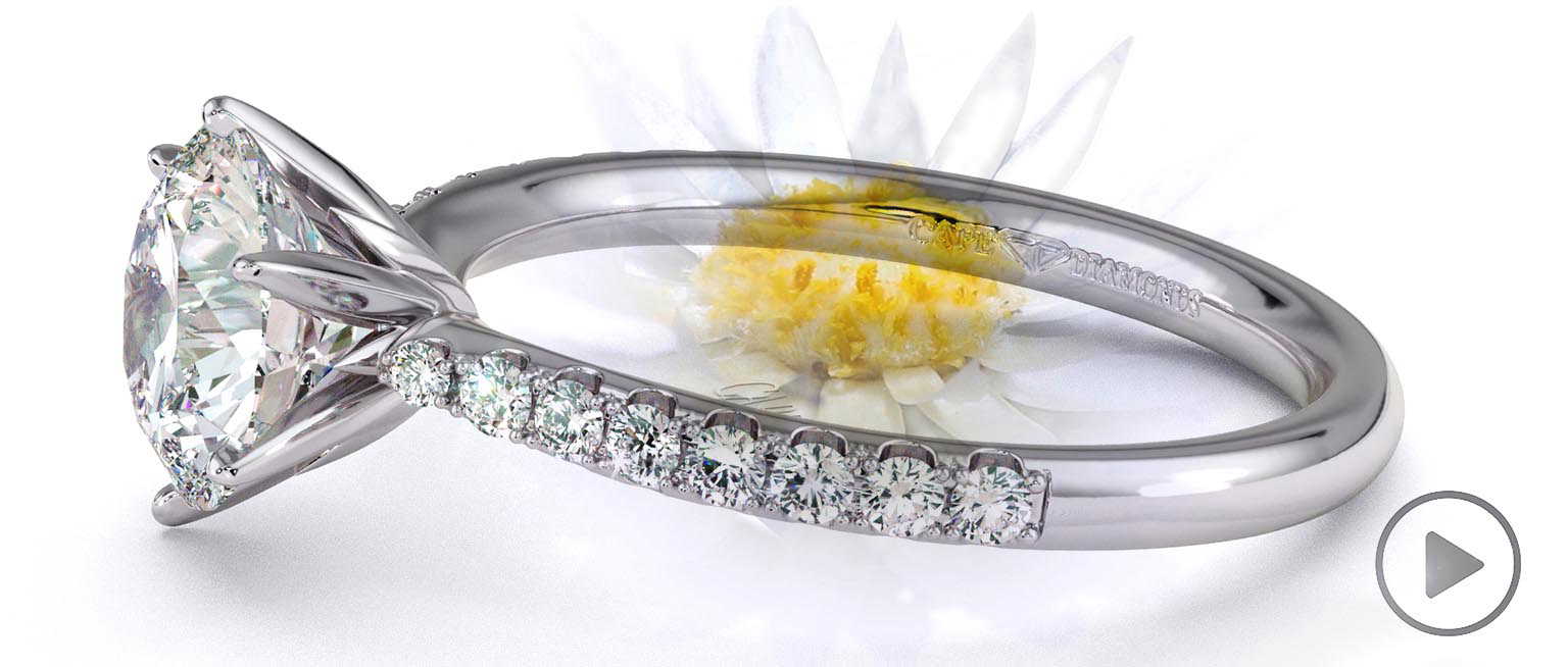 Everlasting Love Pave Natural Diamond Engagement Ring White Gold top video