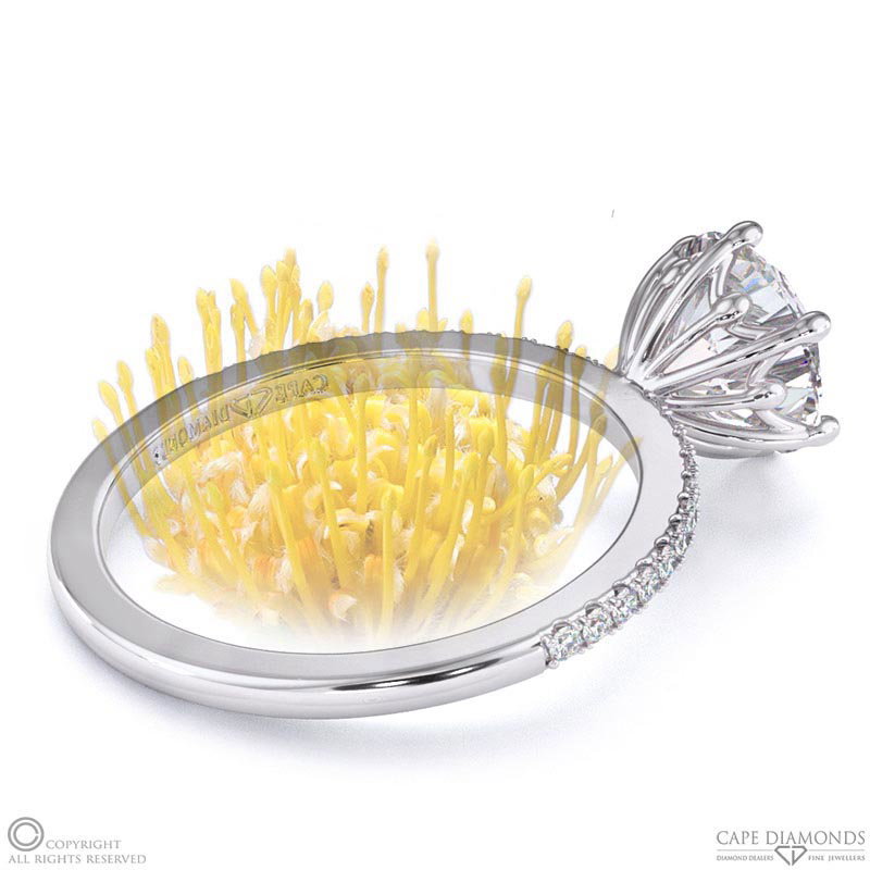 Fynbos Pincushion Flower Raised Setting On Petit Lab Grown Diamond Pavé Thin Squared Band