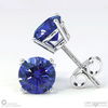 Tanzanite 4-Claw Stud White Gold Earrings