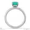 garnet hidden halo emerald cut solitaire engagement ring platinum with platinum metal and emerald shape diamond