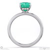 emerald radiant cut hidden halo engagement ring platinum with platinum metal and radiant shape diamond