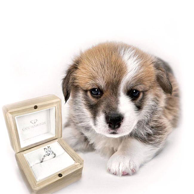 Job Creation and Eco-Friendly