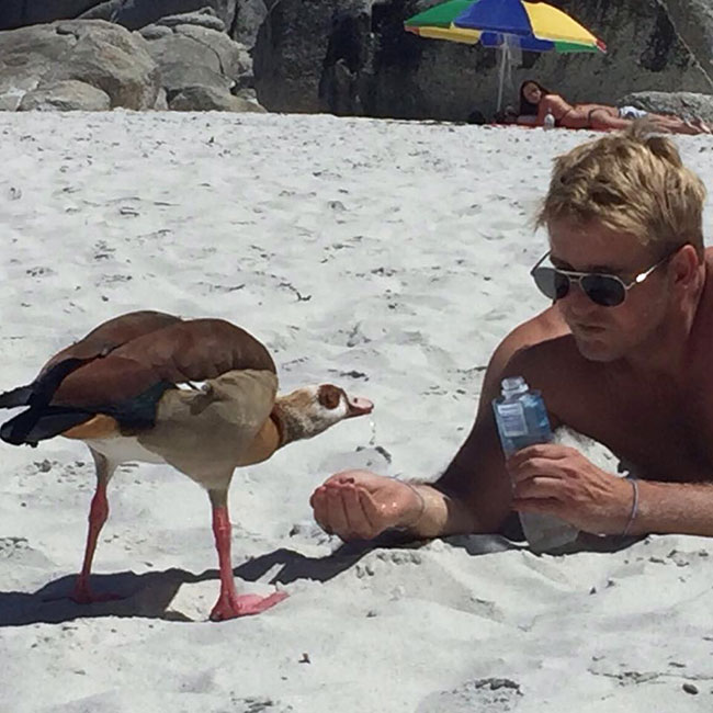 What do you do in your spare time?