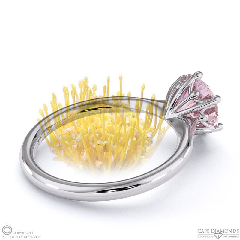 Pincushion Soltaire Morganite Engagement Ring White Gold