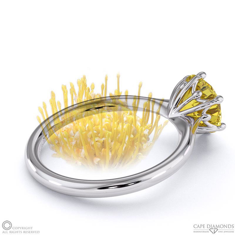 Pin Cushion Fynbos Yellow Natural Diamond Solitaire Diamond Engagement Ring White Gold