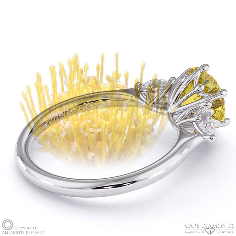 Pin Cushion Yellow Natural Diamond Round Pear Trilogy Engagement Ring White Gold