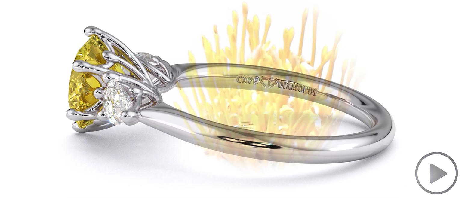 Pin Cushion Yellow Lab Grown Diamond Round Pear Trilogy Engagement Ring White Gold top video