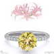 nerine queen fynbos yellow natural diamond side stone engagement ring white gold with 18k white gold metal and round shape diamond