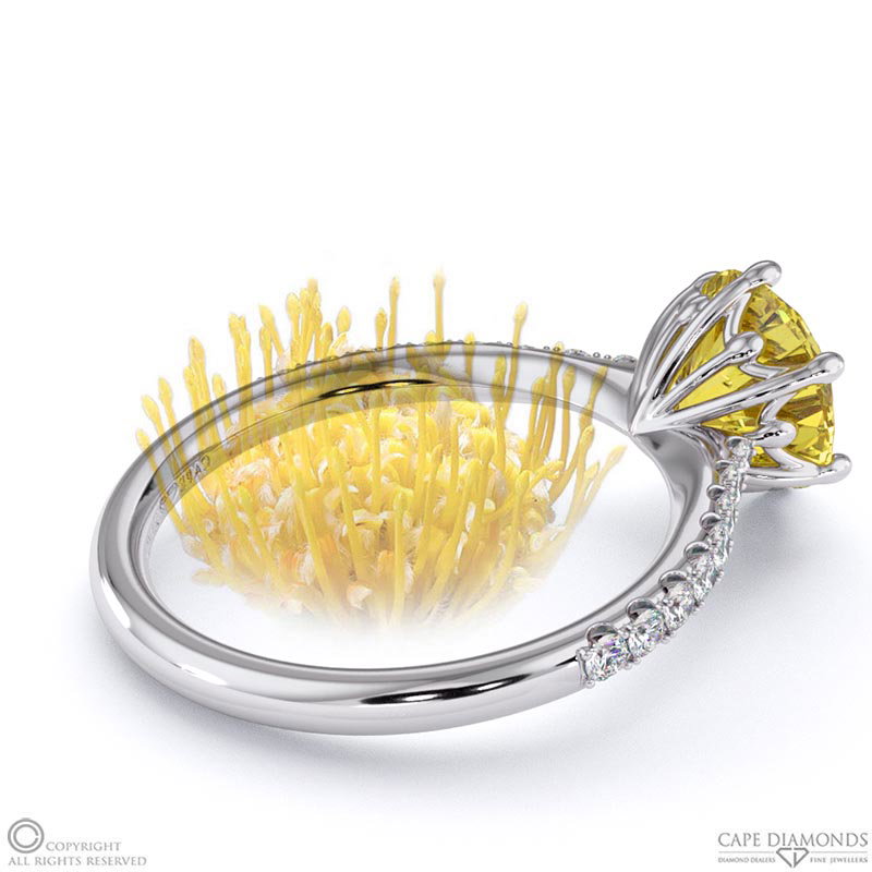 Pin Cushion Fynbos Yellow Natural Diamond Side Diamond Engagement Ring White Gold