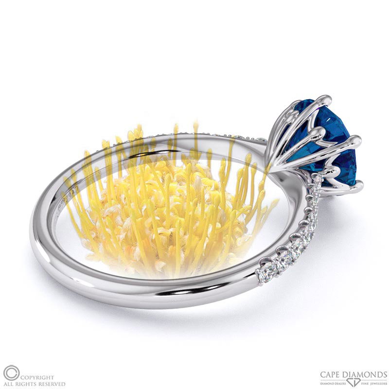 Pin Cushion Fynbos Sapphire Side Diamond Engagement Ring White Gold