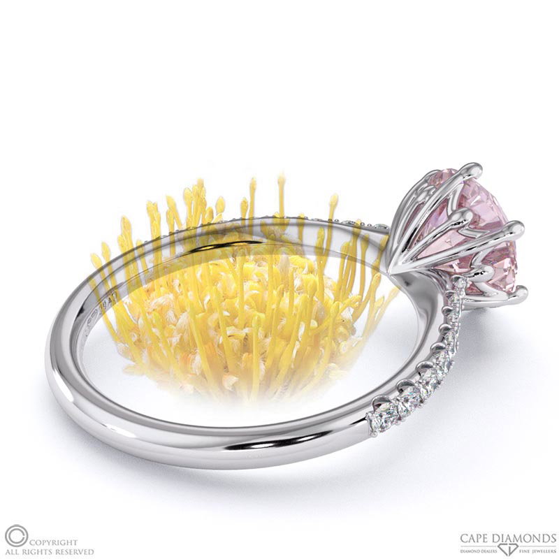 Pin Cushion Fynbos Morganite Side Diamond Engagement Ring White Gold